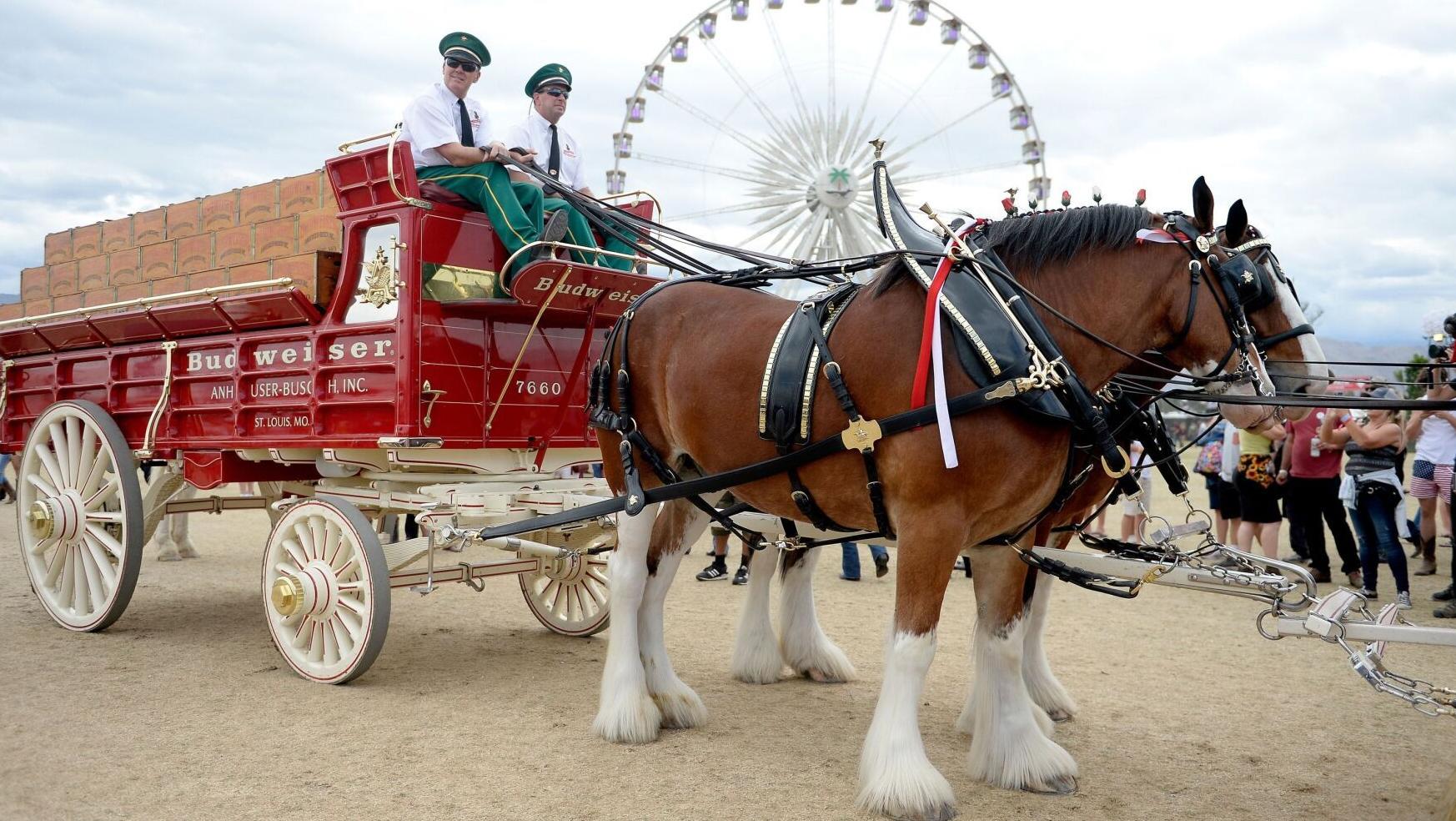 Budweiser won’t cut off the tails of its famous Clydesdale horses